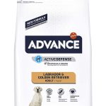 Pienso Advance Labrador