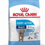 Pienso Royal Canin Maxi Junior Active