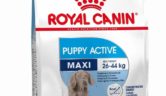 Pienso Royal Canin Maxi Junior Active