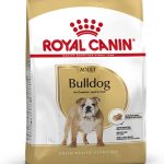 Royal Canin Bulldog Inglés