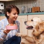 ingredientes alimentación canina