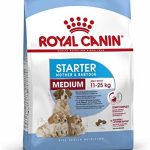 Pienso Royal Canin Starter Medium para cachorros recién nacidos