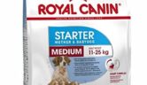 Pienso Royal Canin Starter Medium para cachorros recién nacidos