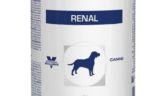 Royal Canin Renal Húmedo