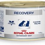 Pienso Royal Canin Recovery para recuperación de enfermedades
