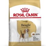 Pienso Royal Canin Beagle
