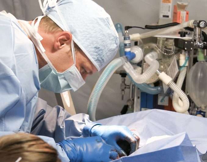 cirugía de esterilización