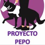 Proyecto PEPO