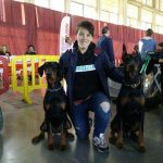 mitos de la raza dobermann