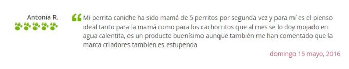 Opiniones pienso Royal Canin