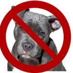 razas prohibidas en países diferentes