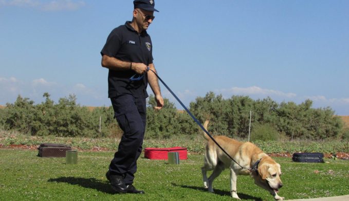 Perros-policia-entrenamiento