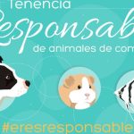 ¿Que implica la tenencia responsable de mascotas?