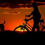Paseo al atardecer con el perro