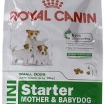 Royal Canin Starter Mini