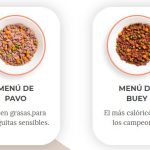 menús para perros Dogfy Diet