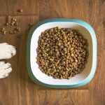 pienso para perro con alergia