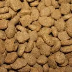 piensos para perros
