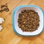 mejores piensos sin cereales para perros