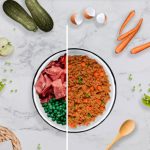 mitos alimentacion natural perros