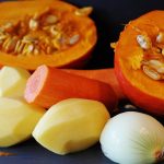 dieta blanda para perros gastritis