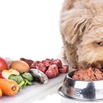 Comida deshidratada para perros