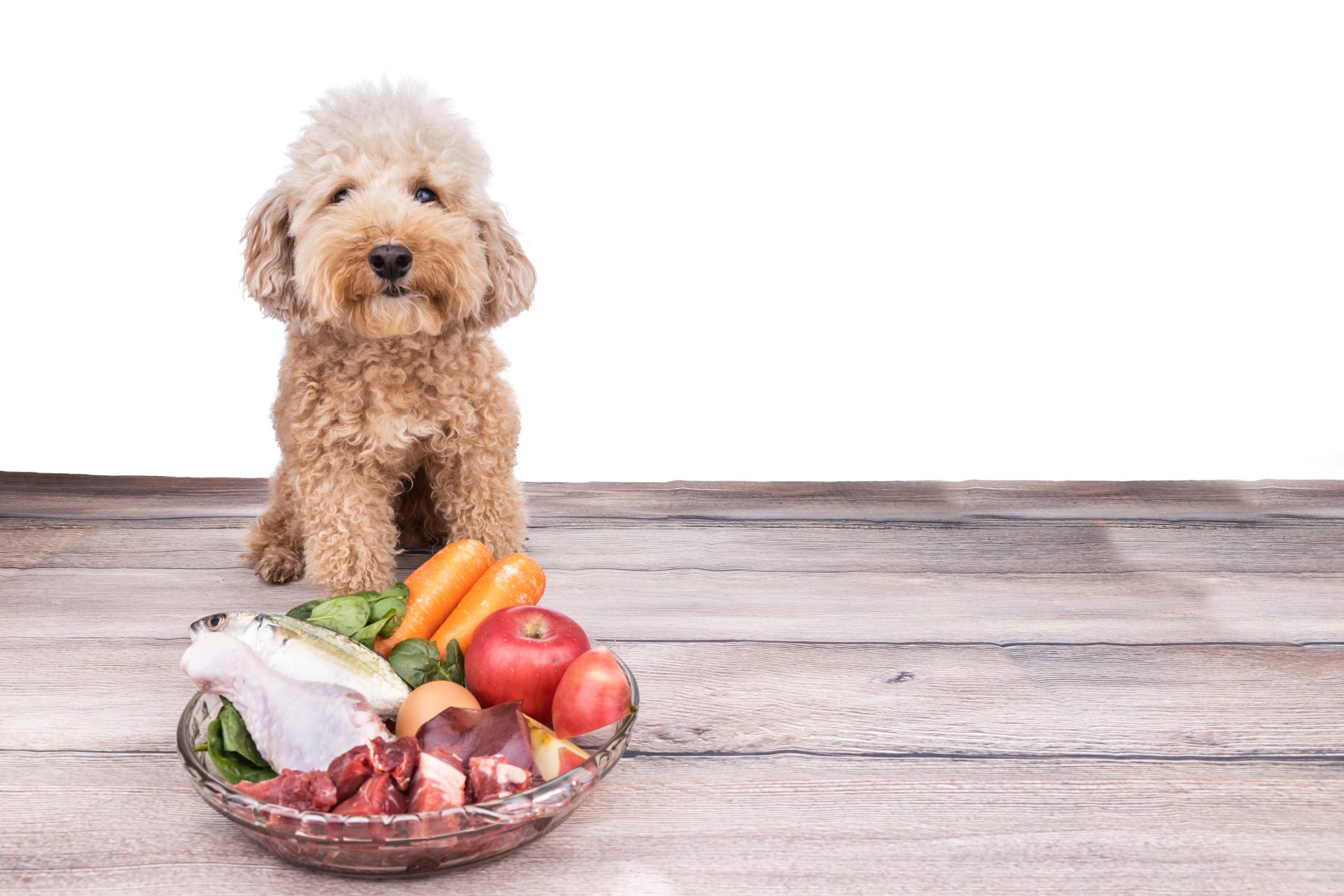 Carne cruda congelada para perros y otros alimentos naturales