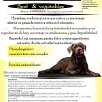 pienso para perros de calidad