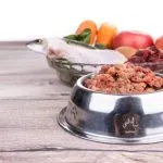 comprar comida húmeda para perros