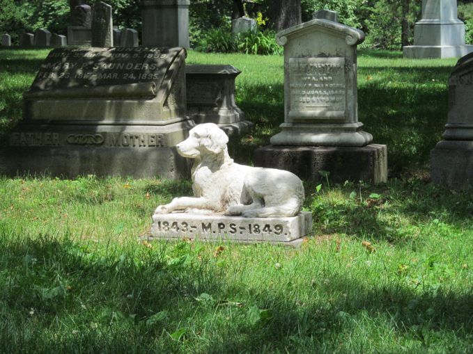 cementerio para perros
